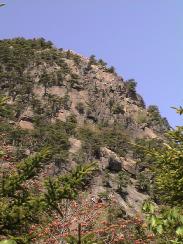 view_from_below2_thumb.jpg 12.8K