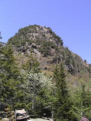 view_from_below3_thumb.jpg 11.3K